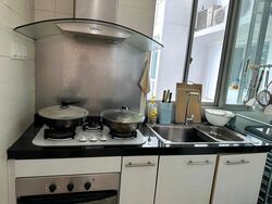 The Lakeshore (D22), Condominium #498857291